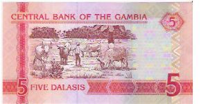 Banknote from Gambia