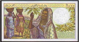 Banknote from Comoros