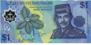 I Ringgit' Sultan on front;  Waterfall on back Banknote
