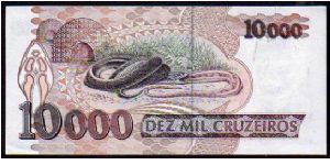 Banknote from Brazil