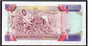 Banknote from Malawi