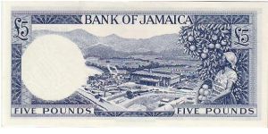 Banknote from Jamaica