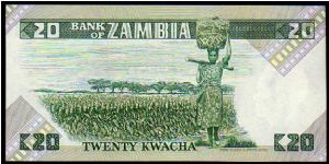 Banknote from Zambia