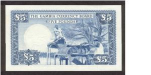 Banknote from Gambia