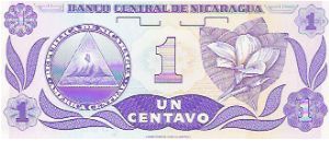 Banknote from Nicaragua