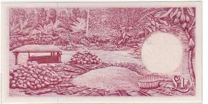 Banknote from Ghana