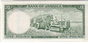 Banknote from Jamaica