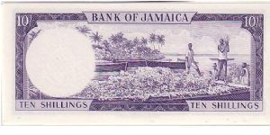 Banknote from Jamaica