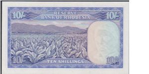 Banknote from Rhodesia