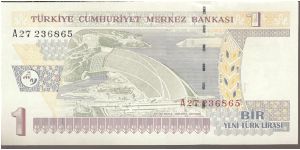 Banknote from Turkey