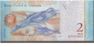 Banknote from Venezuela