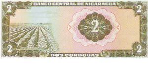 Banknote from Nicaragua