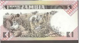 Banknote from Zambia