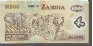 Banknote from Zambia