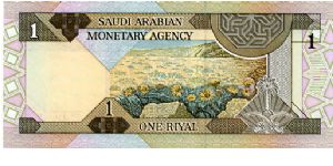 Banknote from Saudi Arabia