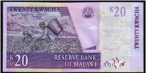 Banknote from Malawi