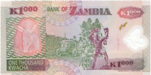 Banknote from Zambia