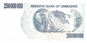 Banknote from Zimbabwe