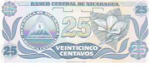 Banknote from Nicaragua