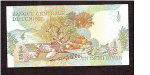 Banknote from Tunisia