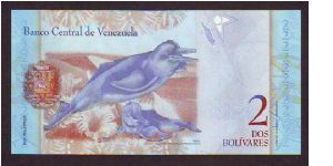 Banknote from Venezuela