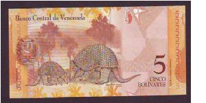 Banknote from Venezuela