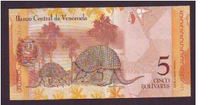 Banknote from Venezuela