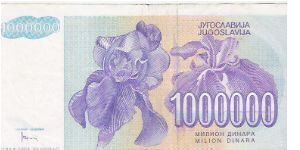 Banknote from Yugoslavia