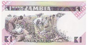 Banknote from Zambia