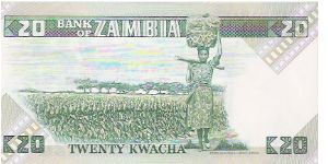 Banknote from Zambia