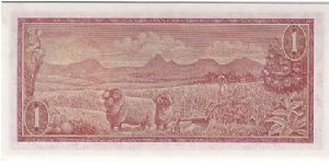 Banknote from South Africa