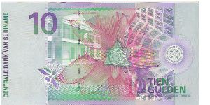 Banknote from Suriname