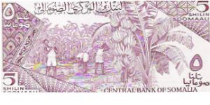 Banknote from Somalia