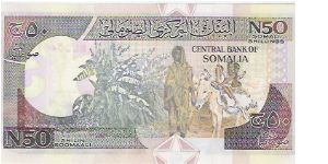 Banknote from Somalia