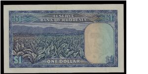 Banknote from Rhodesia