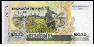 Banknote from Cambodia