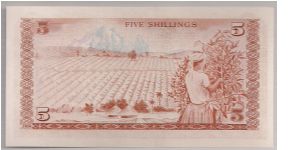 Banknote from Kenya