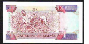 Banknote from Malawi