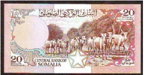 Banknote from Somalia