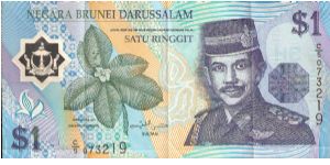 1 Ringgit.  Polymer Note.  Dated 1996 issued Febuary 1996
 
Sig- Sultan Hassanal Bolkiah Mu'izzaddin Waddaulah
 
Riverside Gajah, Sultan
Rainforest & waterfall.
Info thanks to De-Orc! Banknote