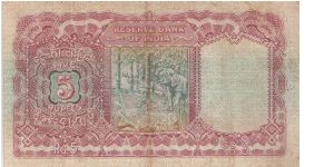 Banknote from India