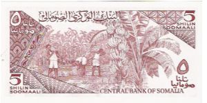 Banknote from Somalia