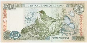 Banknote from Cyprus