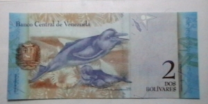 Banknote from Venezuela