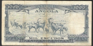 Banknote from Angola