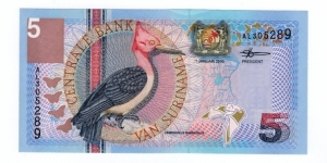 5 Gulden Banknote