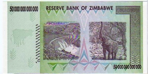 Banknote from Zimbabwe