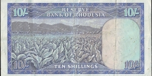 Banknote from Rhodesia