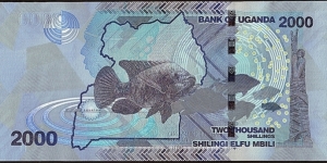 Banknote from Uganda