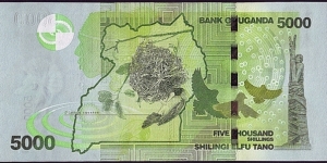 Banknote from Uganda